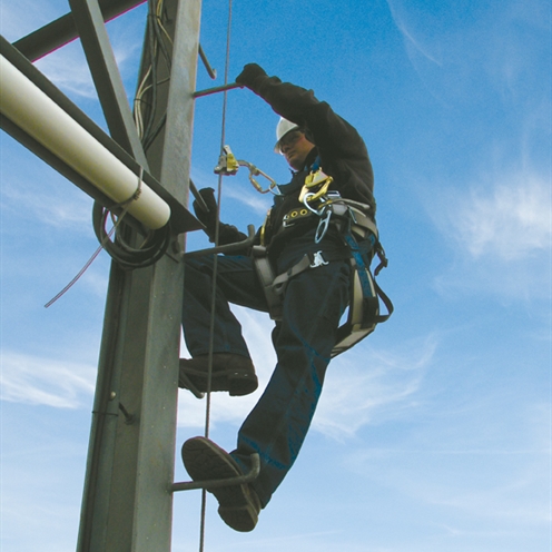 Vertical Fall Arrest Systems