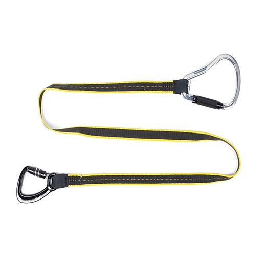 3M DBI Sala Heavy-Duty Hook2Rail Lanyard