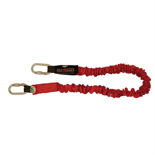 Protecta 2.0M Pro Stretch EA Lanyard AE52 2 x Karabiner