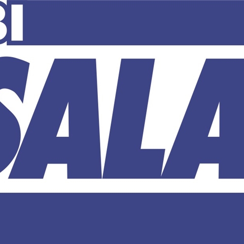 DBI-SALA Harness Accessories